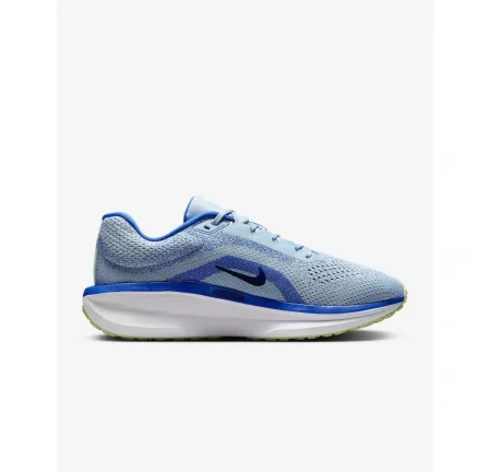 Кроссовки Nike Air Winflo 11 FJ9509-404