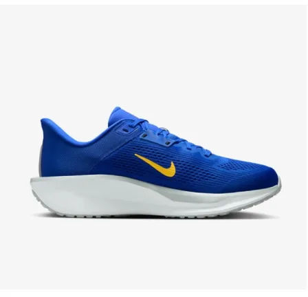 Чоловічі кросівки Nike Quest 6 FD6033-403