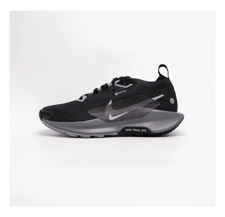 Кросівки жіночі Nike Pegasus Trail 5 Gore-Tex FQ0912-001