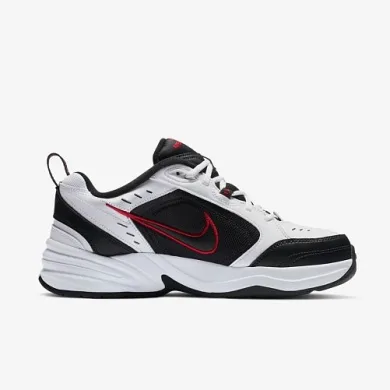Кроссовки Nike Air Monarch IV 415445-101