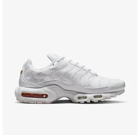 Мужские кроссовки Nike Air Max Plus AJ2029-100