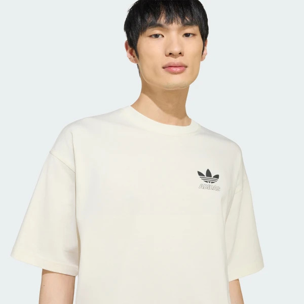 Мужская футболка Adidas Originals Stars Gfx LC8561_image_6