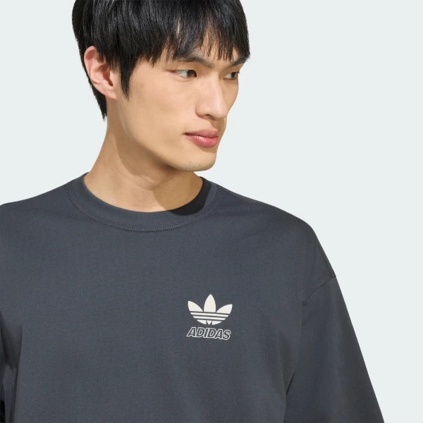 Мужская футболка Adidas Originals Stars Gfx LC8562_image_4