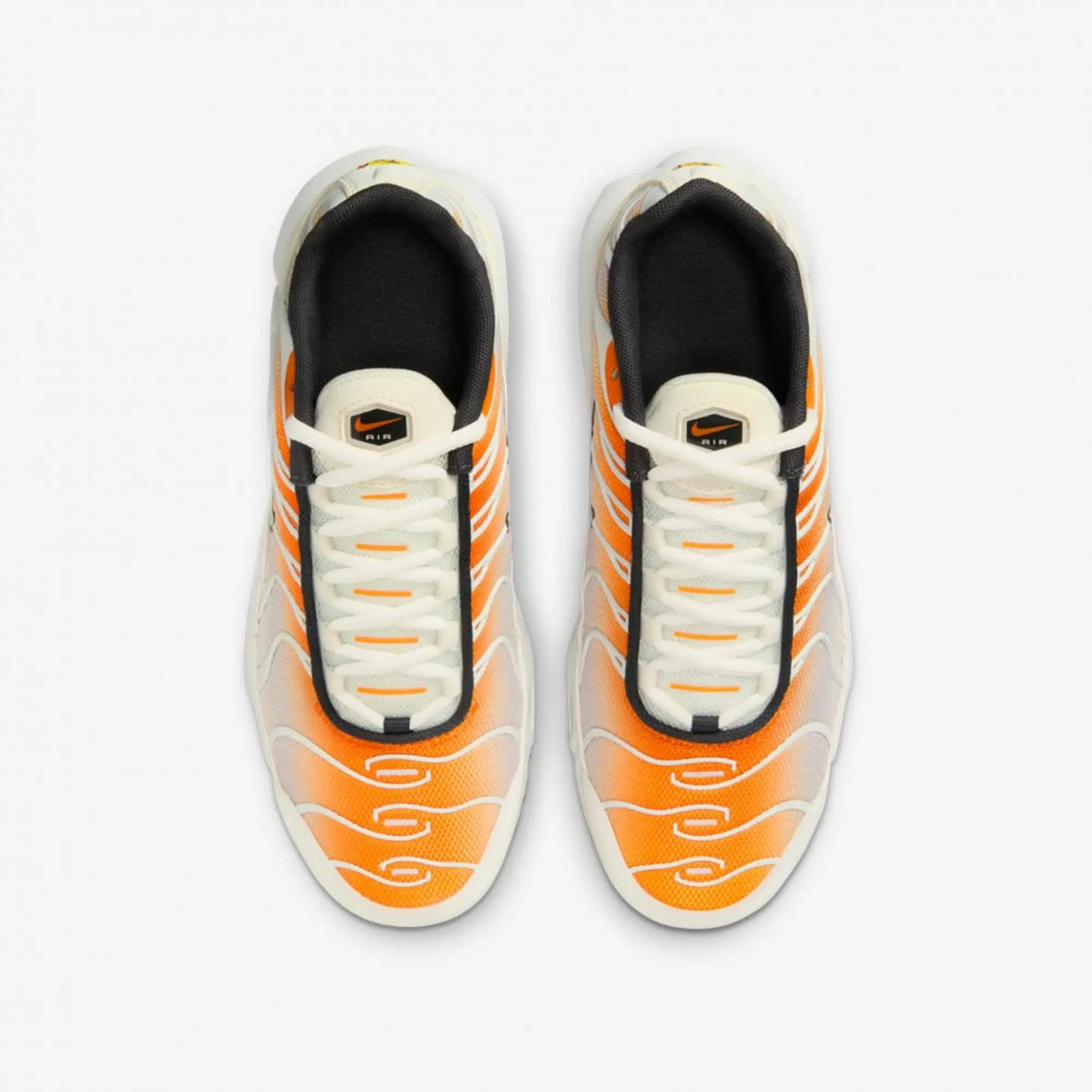 Кросівки Nike Air Max Plus CD0609-800_image_6