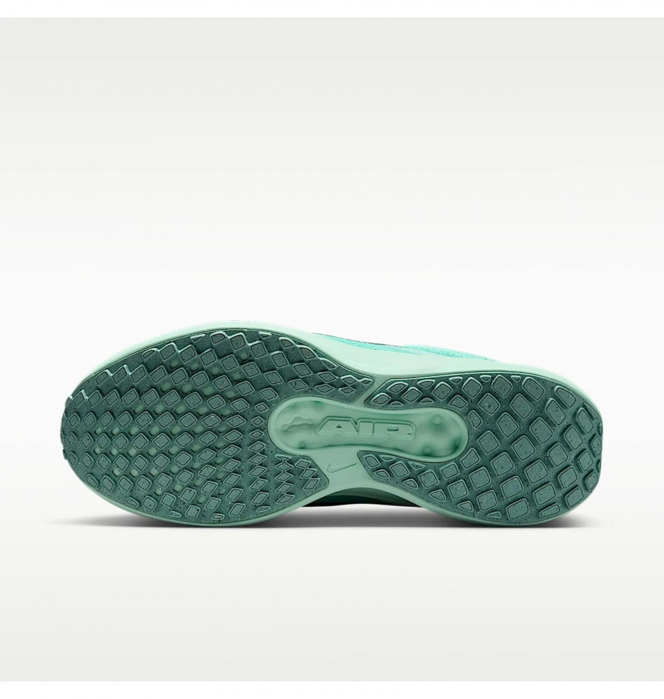 Кросівки Nike Air Winflo 11 FJ9510-305_image_3