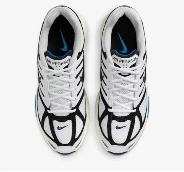 Чоловічі кросівки Nike Air Pegasus 2005 IB3971-100_image_3