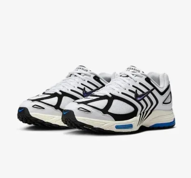 Чоловічі кросівки Nike Air Pegasus 2005 IB3971-100_image_5