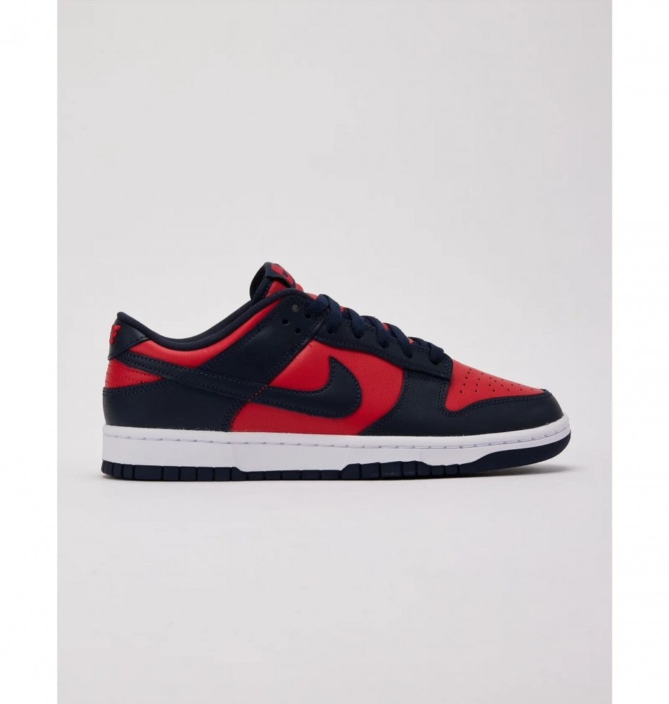 Чоловічі кросівки Nike Dunk Low Retro DV0833-601