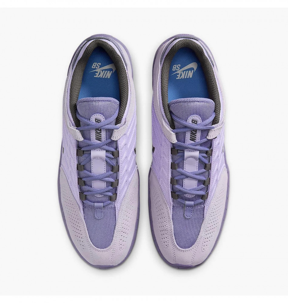 Кросівки чоловічі Nike Sb Vertebrae FD4691-501_image_6