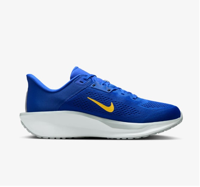 Чоловічі кросівки Nike Quest 6 FD6033-403