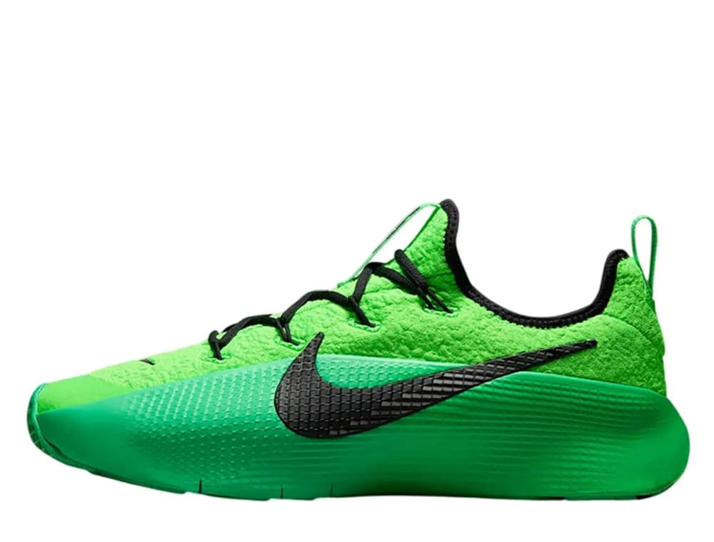 Кросівки чоловічі Nike Lebron Tr 1 FJ6151-300