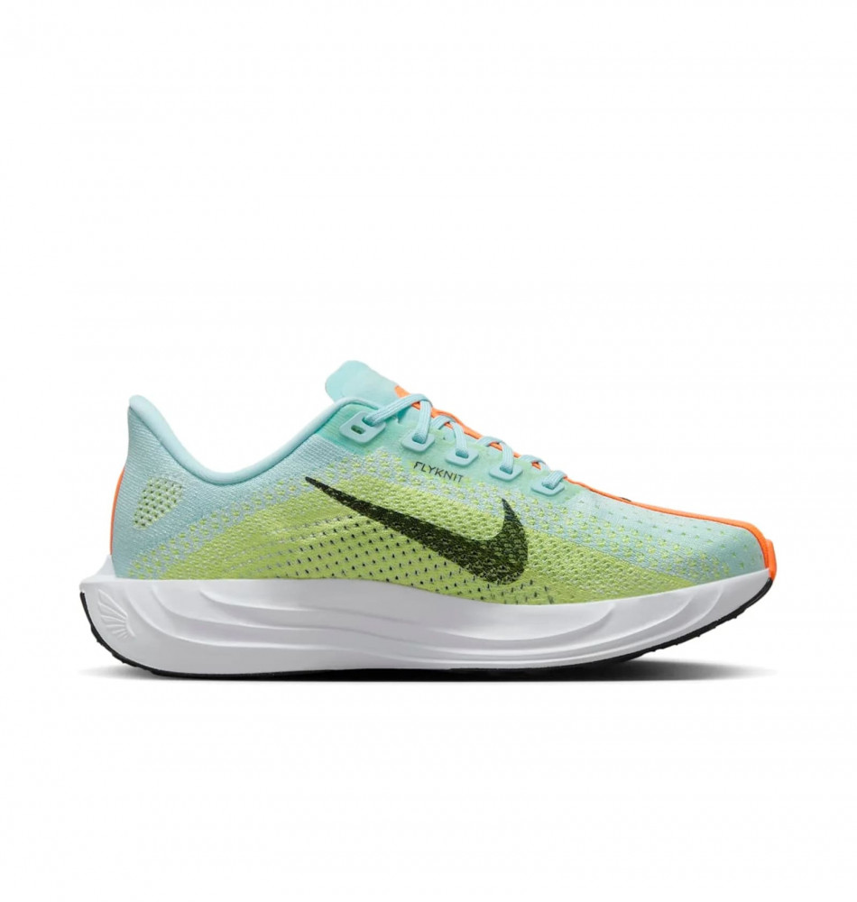 Кросівки жіночі Nike Pegasus Plus Road FQ7261-400