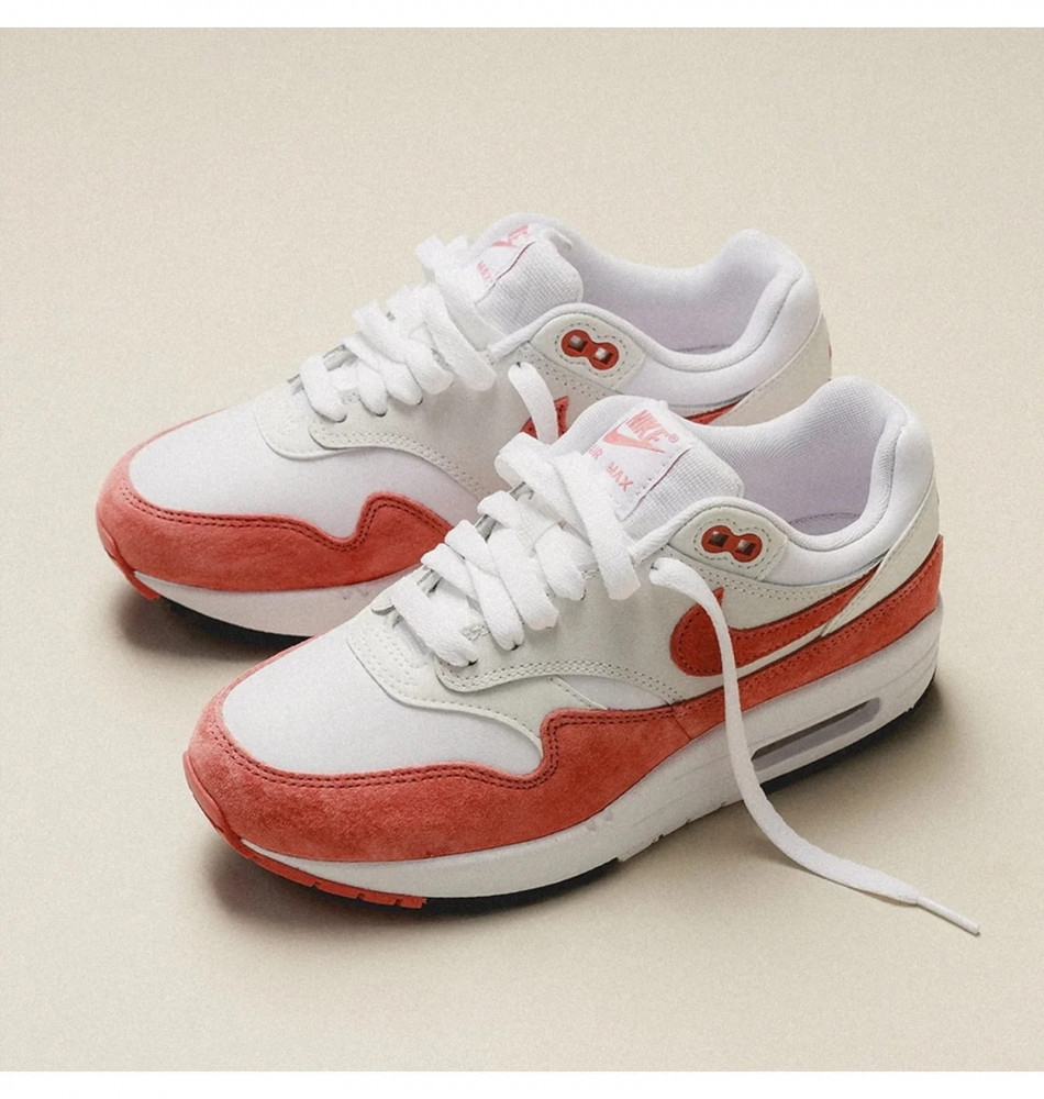 Кросівки жіночі Nike Air Max 1 87 FZ1468-100_image_5