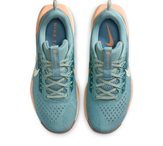 Кросівки жіночі Nike React X Pegasus Trail 5 DV3865-010