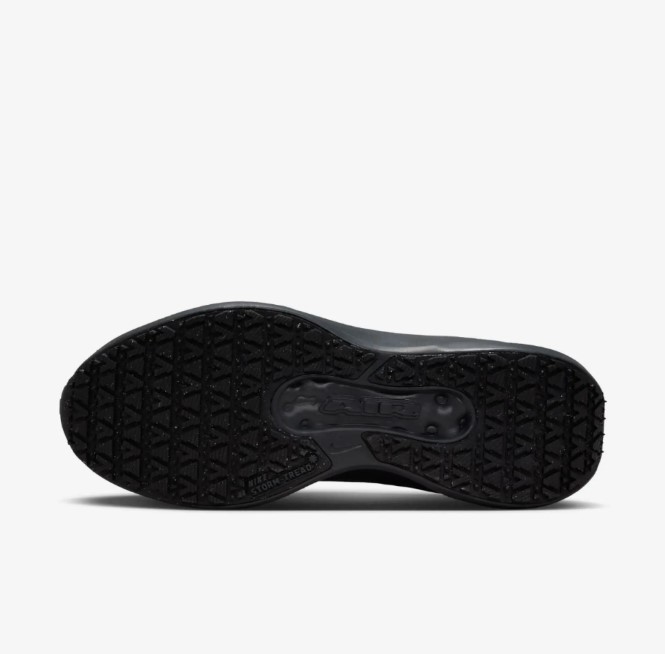 Жіночі кросівки Nike W Air Winflo 11 Gtx FQ1359-001_image_6