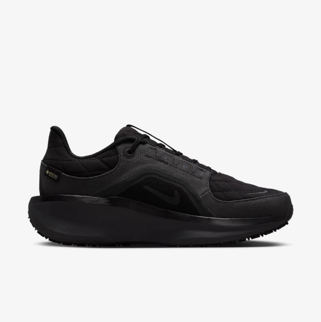 Жіночі кросівки Nike W Air Winflo 11 Gtx FQ1359-001