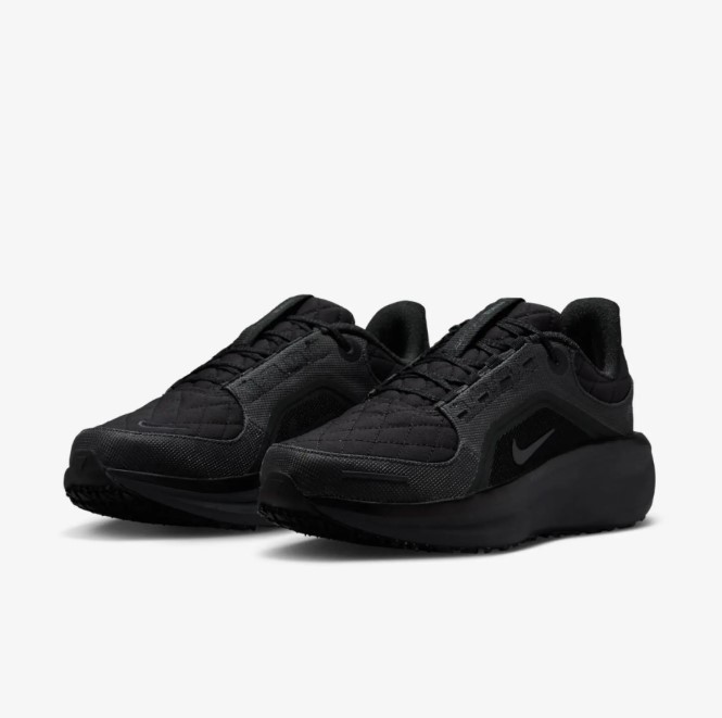 Жіночі кросівки Nike W Air Winflo 11 Gtx FQ1359-001_image_4