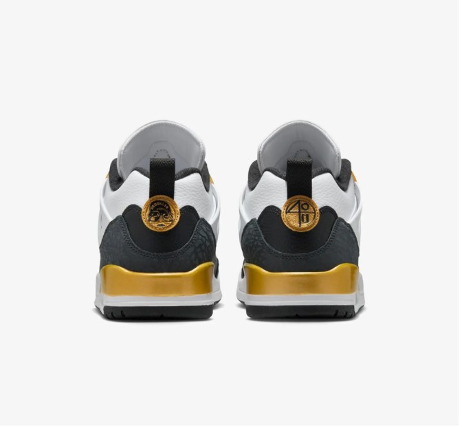 Чоловічі кросівки Jordan Spizike Low FQ1759-108_image_4