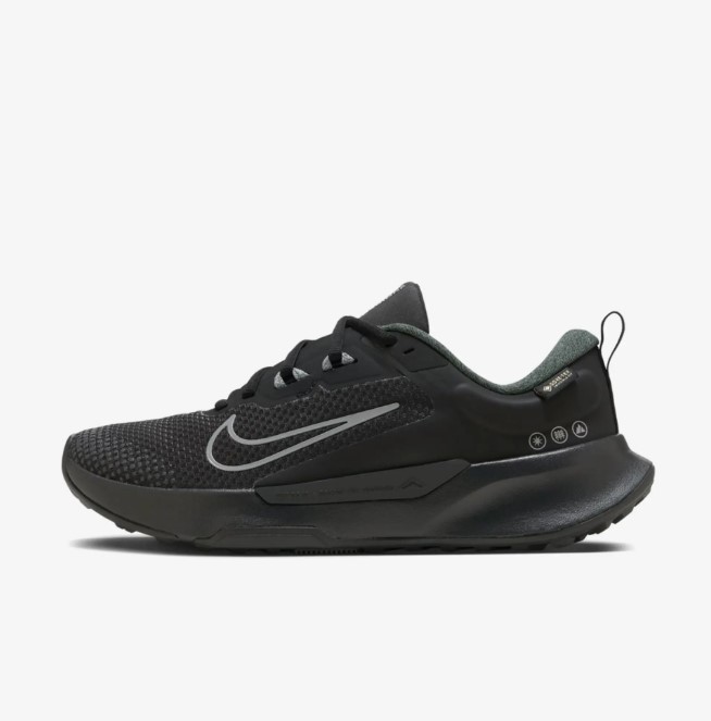 Жіночі кросівки Nike Wmns Juniper Trail 2 Gtx HM9725-001_image_3