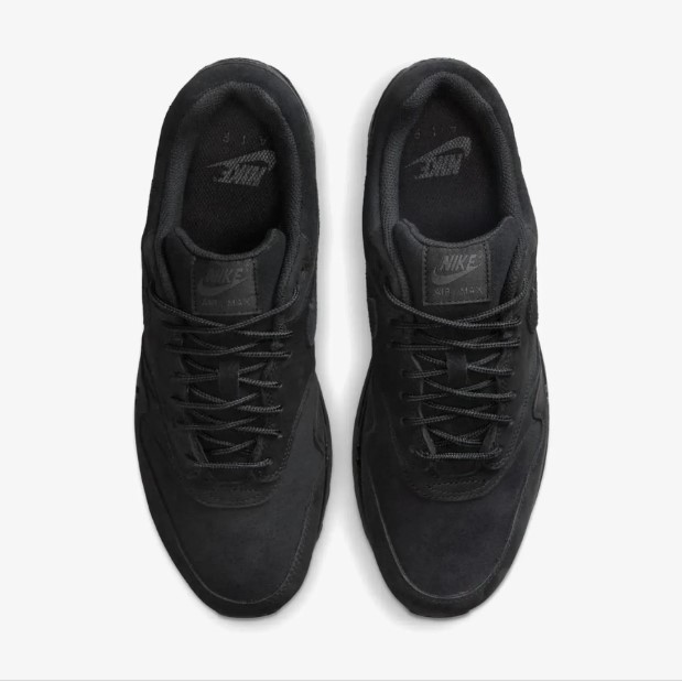 Кросівки чоловічі Nike Air Max 1 Prm HV8065-001_image_8