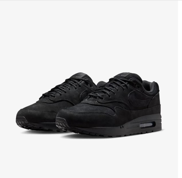 Кросівки чоловічі Nike Air Max 1 Prm HV8065-001_image_5