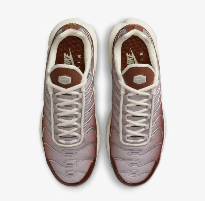Жіночі кросівки Nike Wmns Air Max Dark Pony II7637-200
