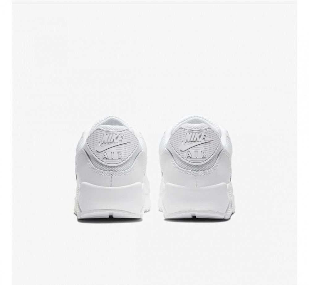 Кросівки NIKE AIR MAX 90 CN8490-100_image_5