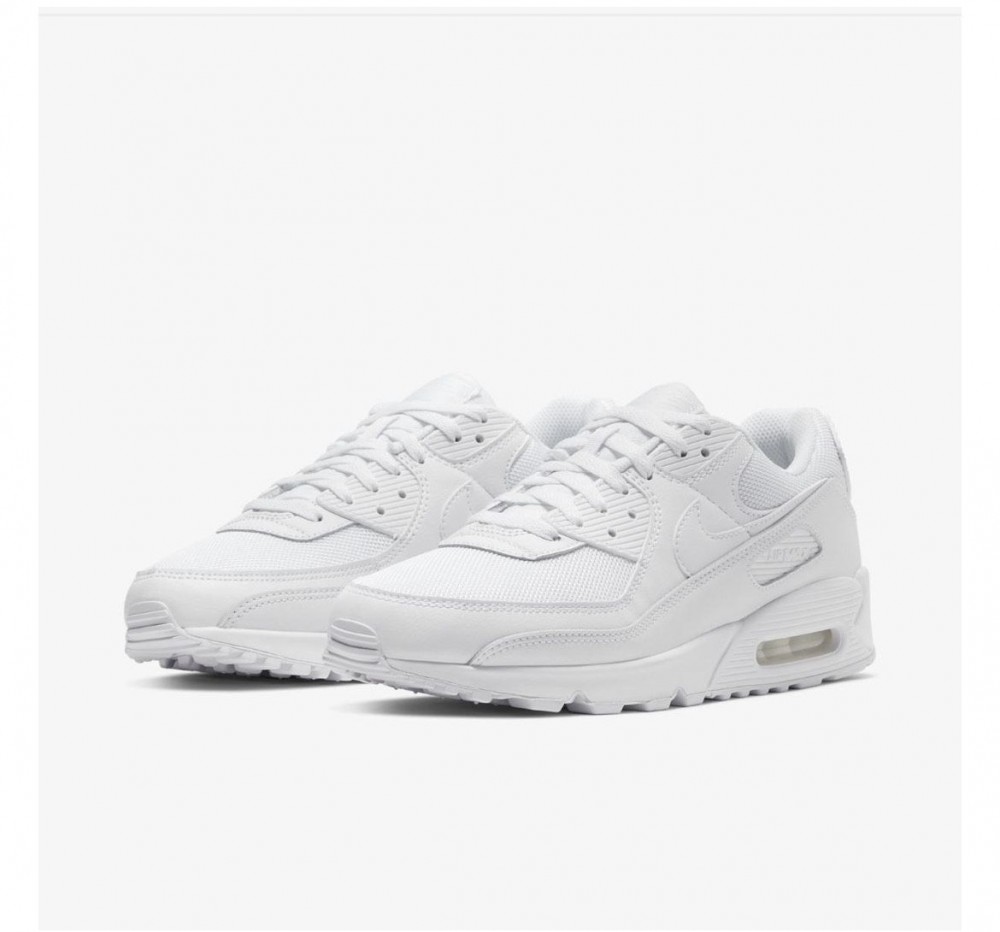Кросівки NIKE AIR MAX 90 CN8490-100_image_4