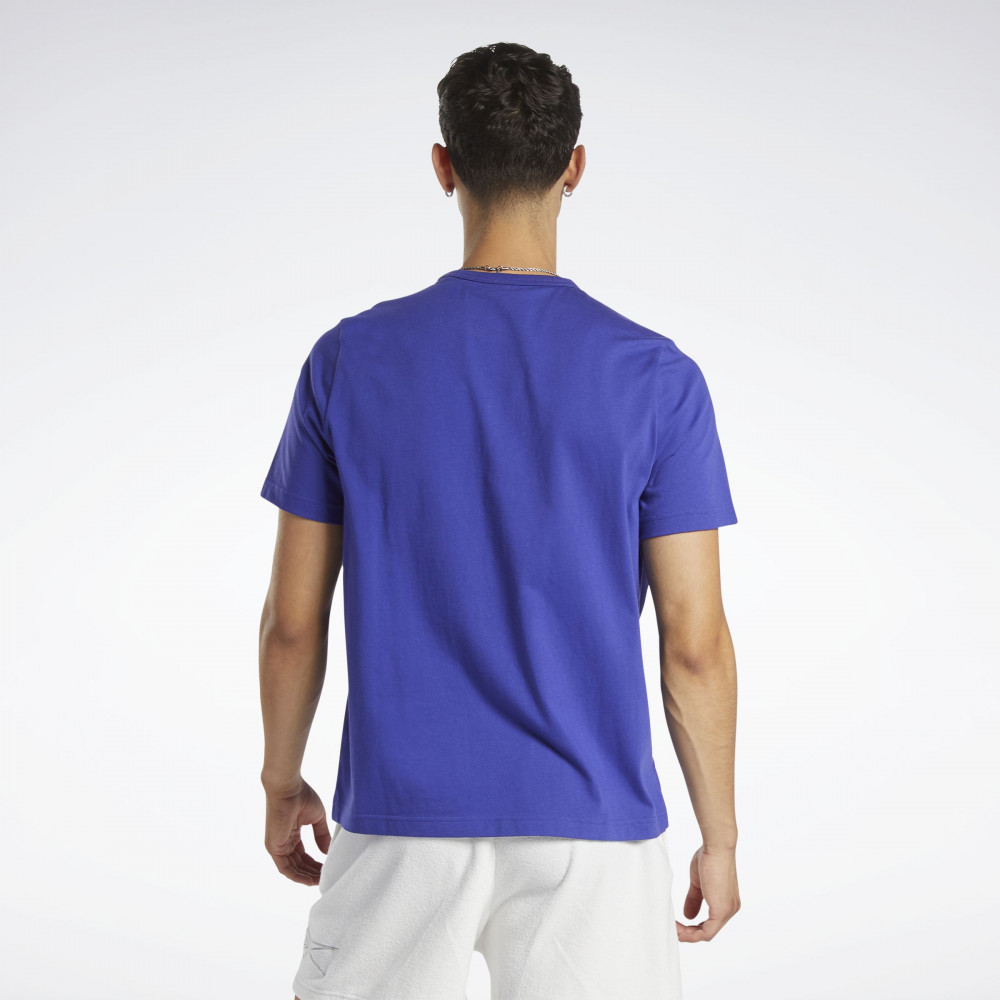 Чоловічі футболки Reebok HN5802