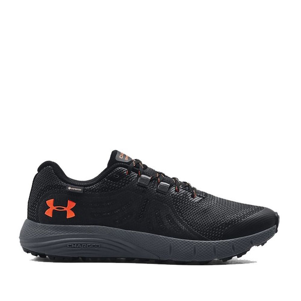 Чоловічі кросівки Under Armour Charged Bandit Trail GTX 3022784-006