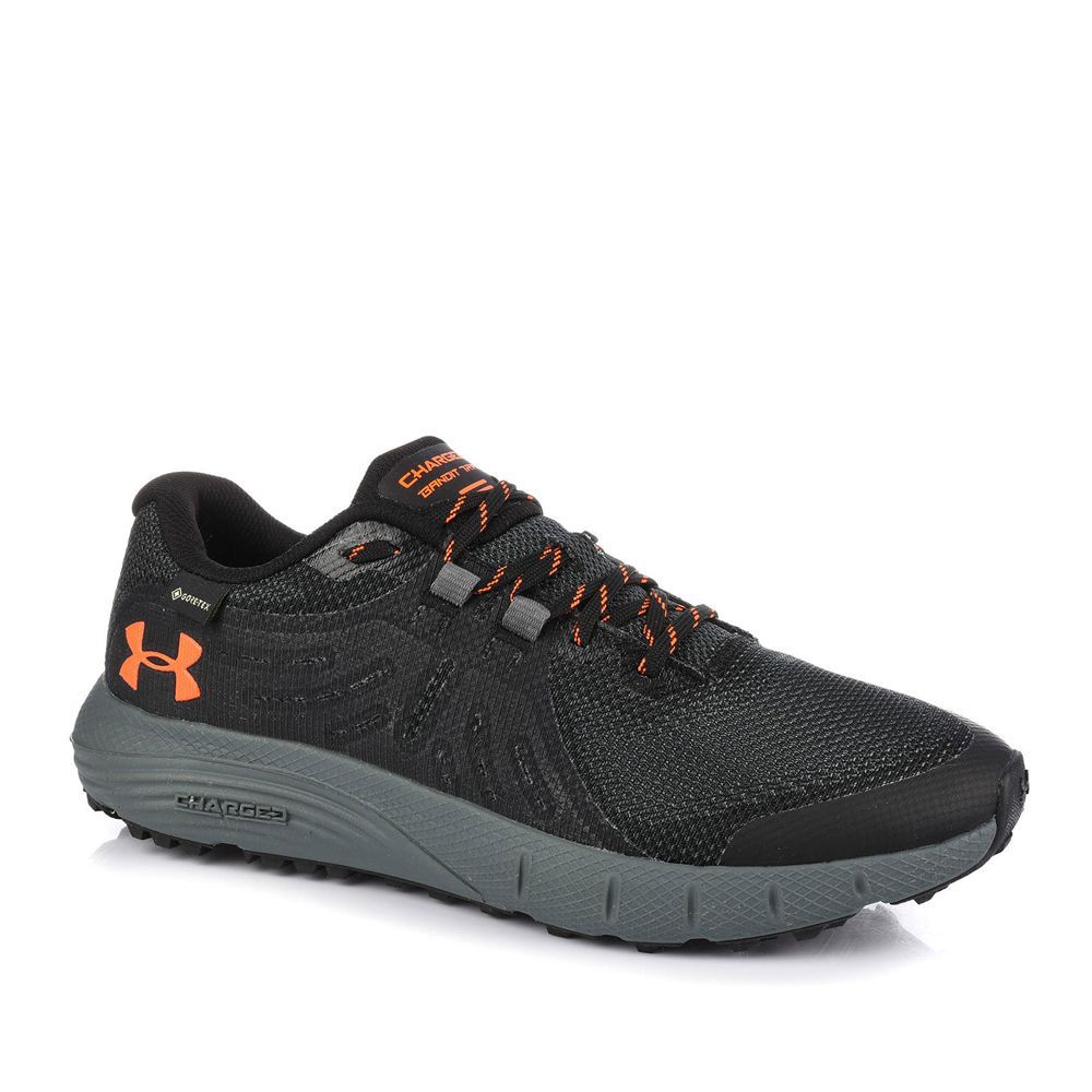 Чоловічі кросівки Under Armour Charged Bandit Trail GTX 3022784-006_image_3
