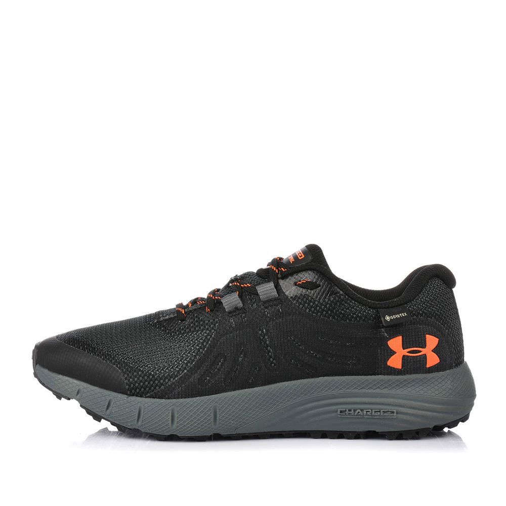 Чоловічі кросівки Under Armour Charged Bandit Trail GTX 3022784-006