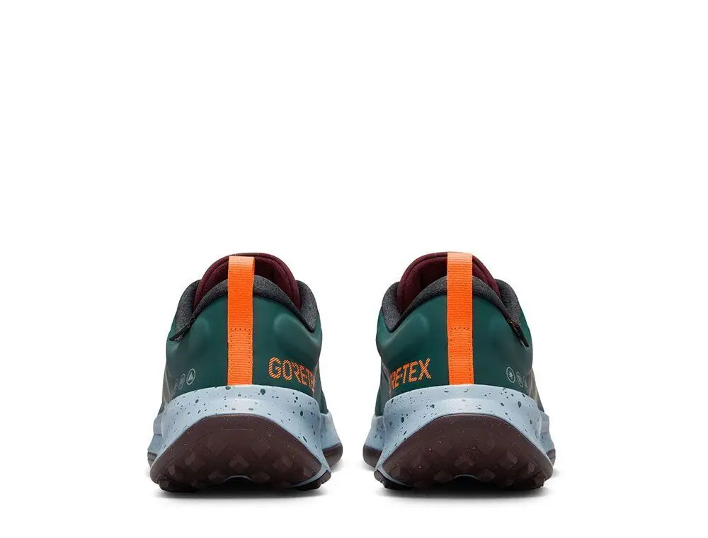 Чоловічі кросівки Nike Juniper Trail 2 GTX FB2067-300_image_4