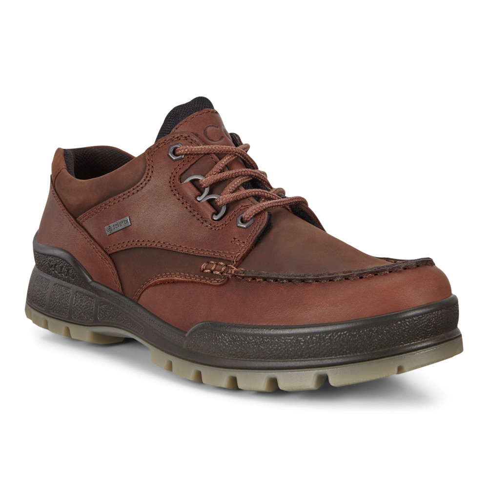 Кросівки Ecco Track Gore-Tex 831714-52600