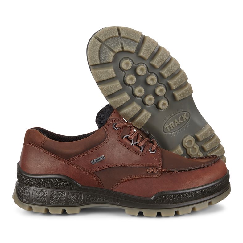 Кросівки Ecco Track Gore-Tex 831714-52600