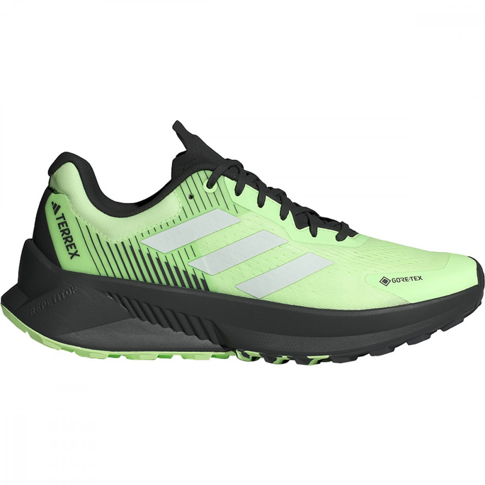 Чоловічі кросівки Adidas Terrex Soulstride Gore-Tex IG8028