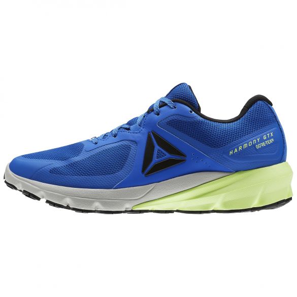 Чоловічі кросівки Reebok OSR Harmony Road GTX BS8524