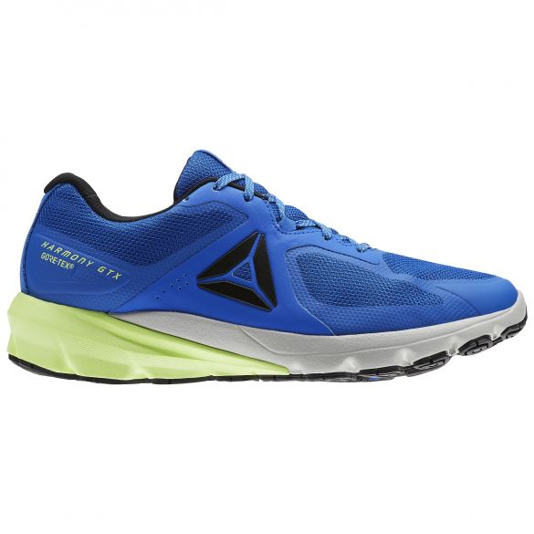 Чоловічі кросівки Reebok OSR Harmony Road GTX BS8524