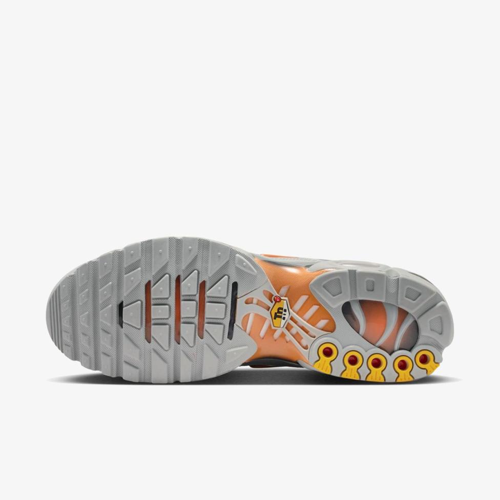 Мужские кроссовки NIKE AIR MAX PLUS DM0032-037