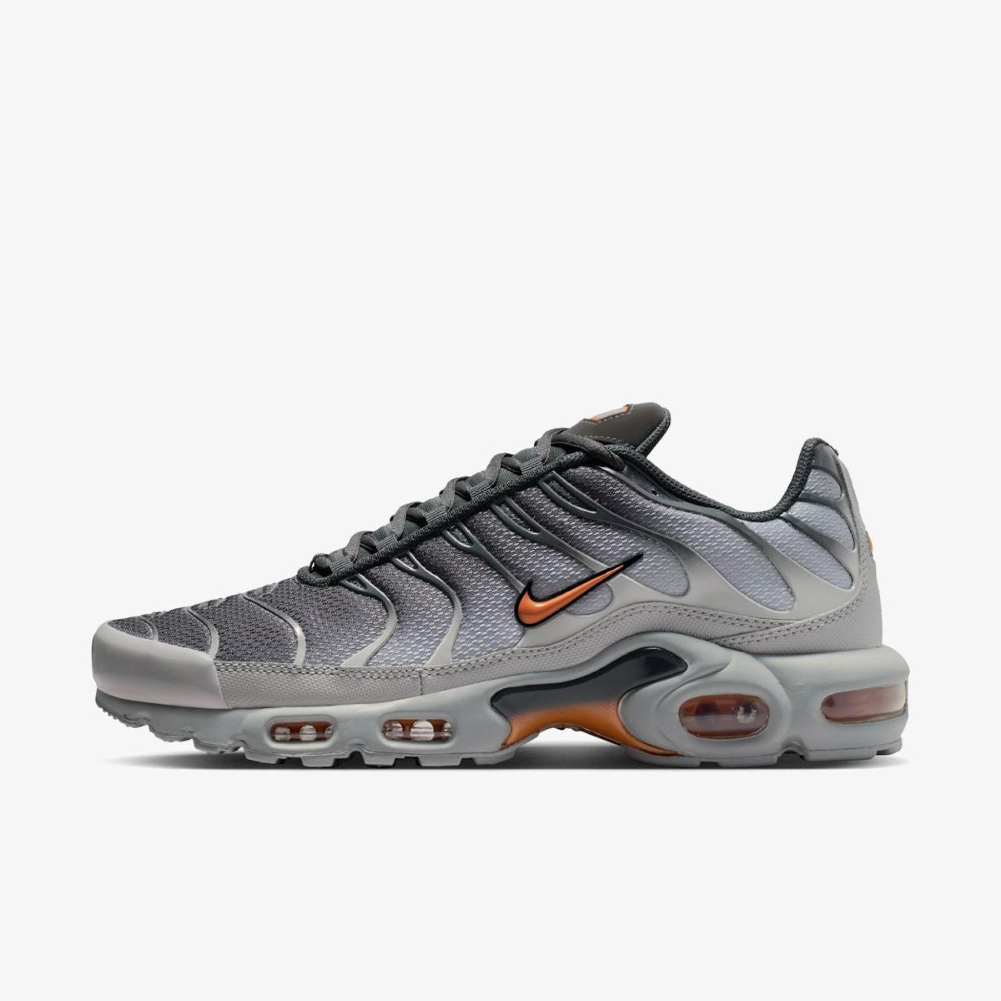 Мужские кроссовки NIKE AIR MAX PLUS DM0032-037