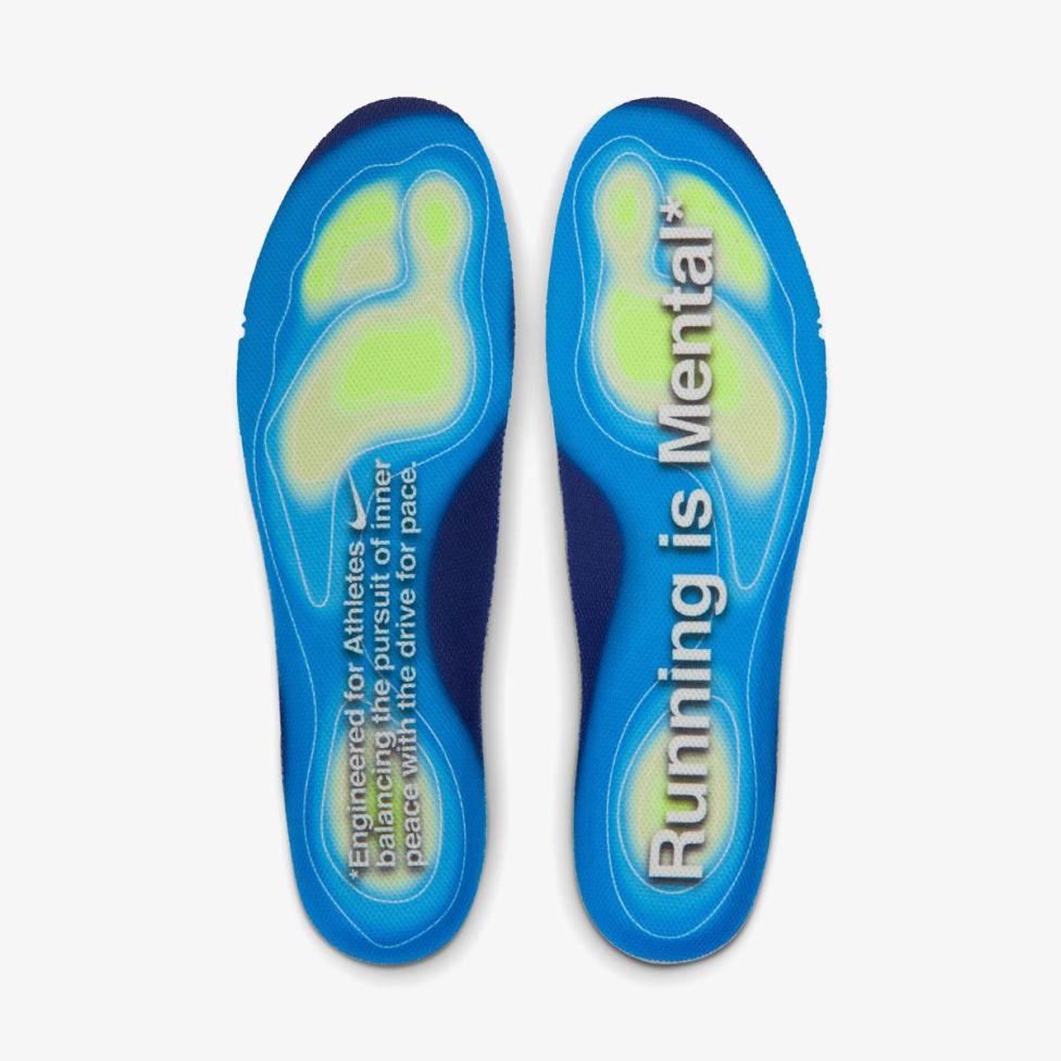 Чоловічі кросівки NIKE VOMERO PLUS PLATINUM TINT IQ0308-094_image_9