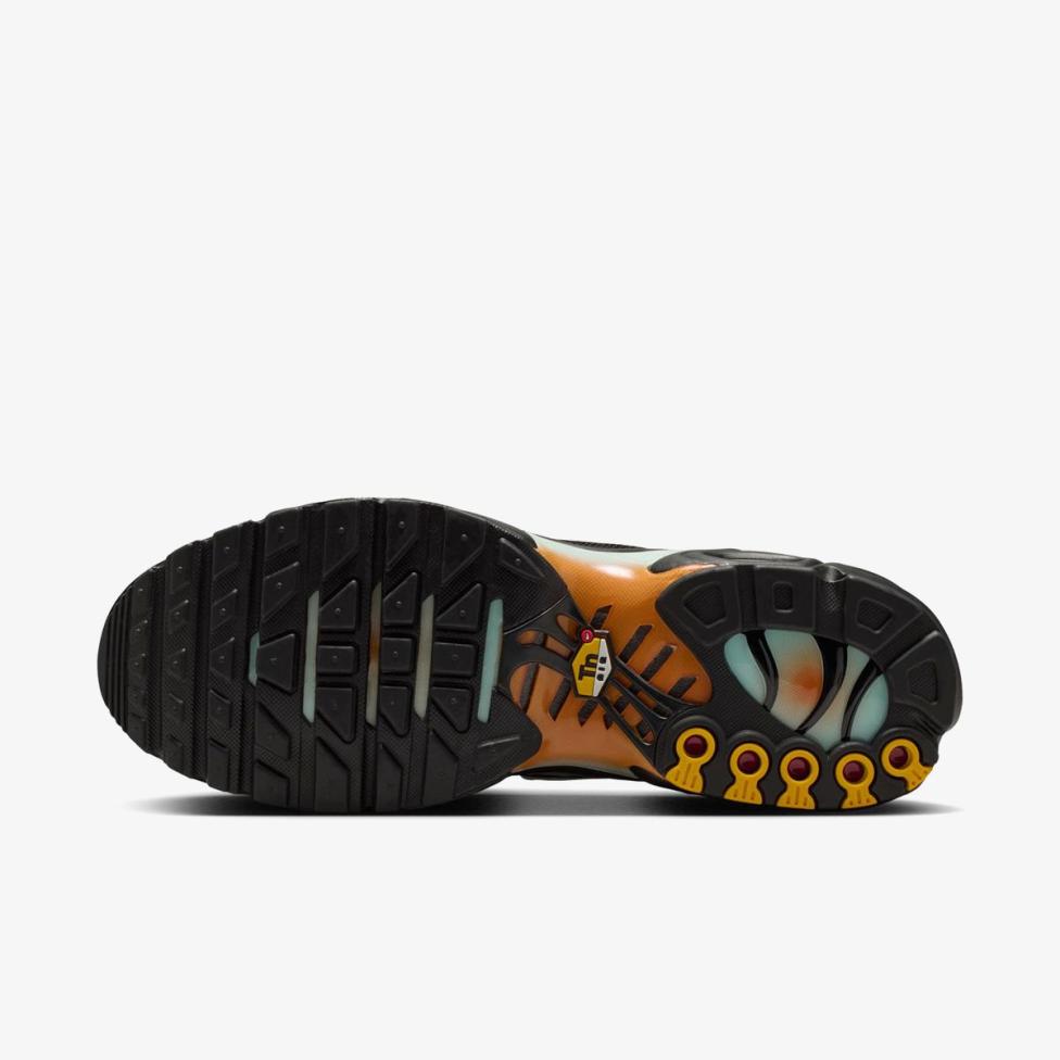 Мужские кроссовки NIKE AIR MAX PLUS OG PRM IQ0168-900