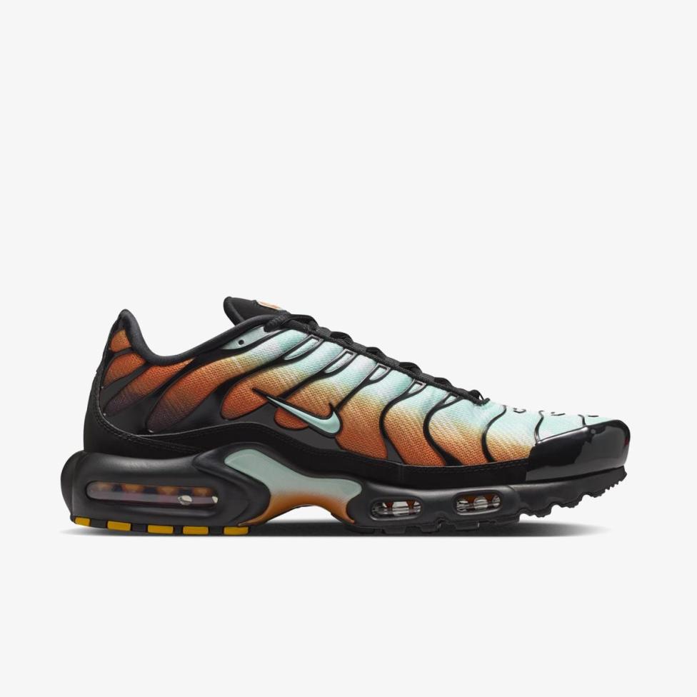 Чоловічі кросівки NIKE AIR MAX PLUS OG PRM IQ0168-900_image_3