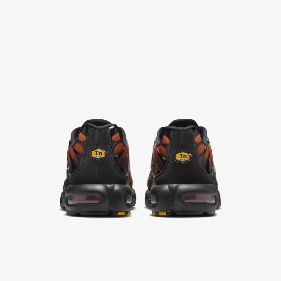 Чоловічі кросівки NIKE AIR MAX PLUS OG PRM IQ0168-900_image_6