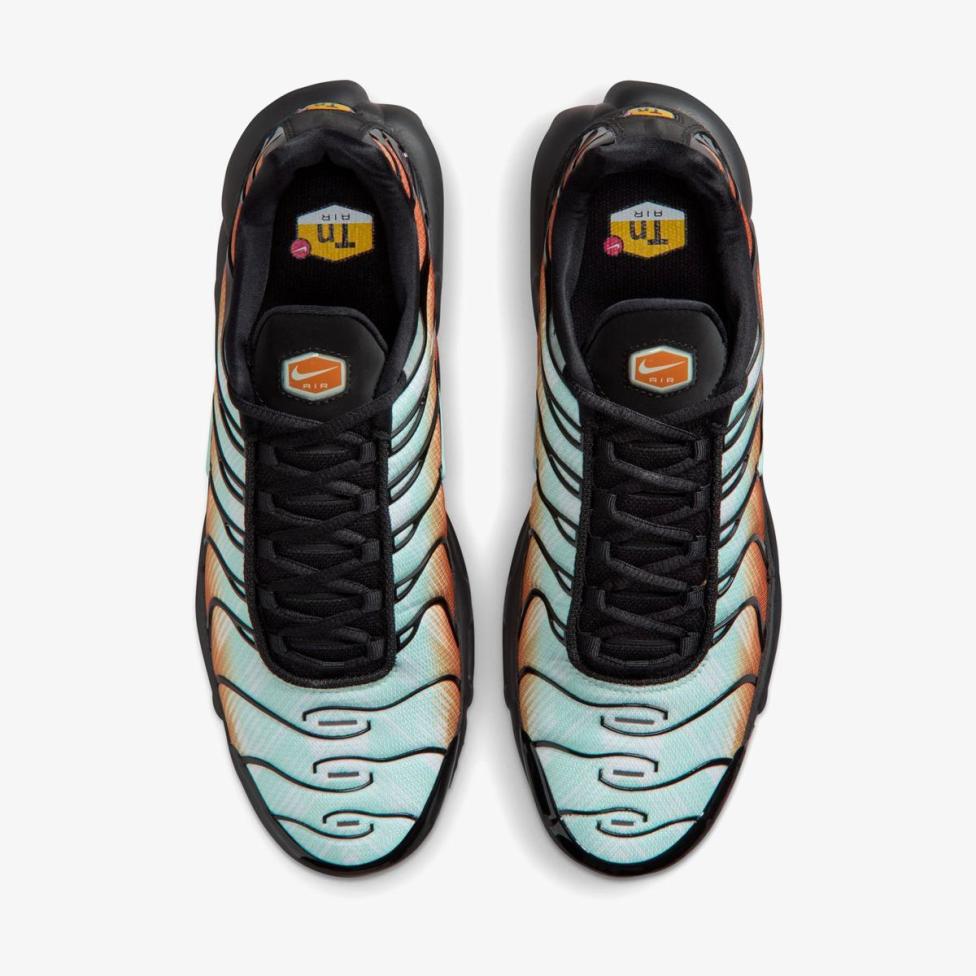 Чоловічі кросівки NIKE AIR MAX PLUS OG PRM IQ0168-900_image_4
