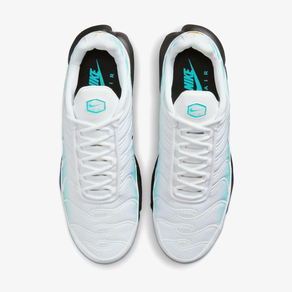 Чоловічі кросівки NIKE AIR MAX PLUS IU7539-345_image_4