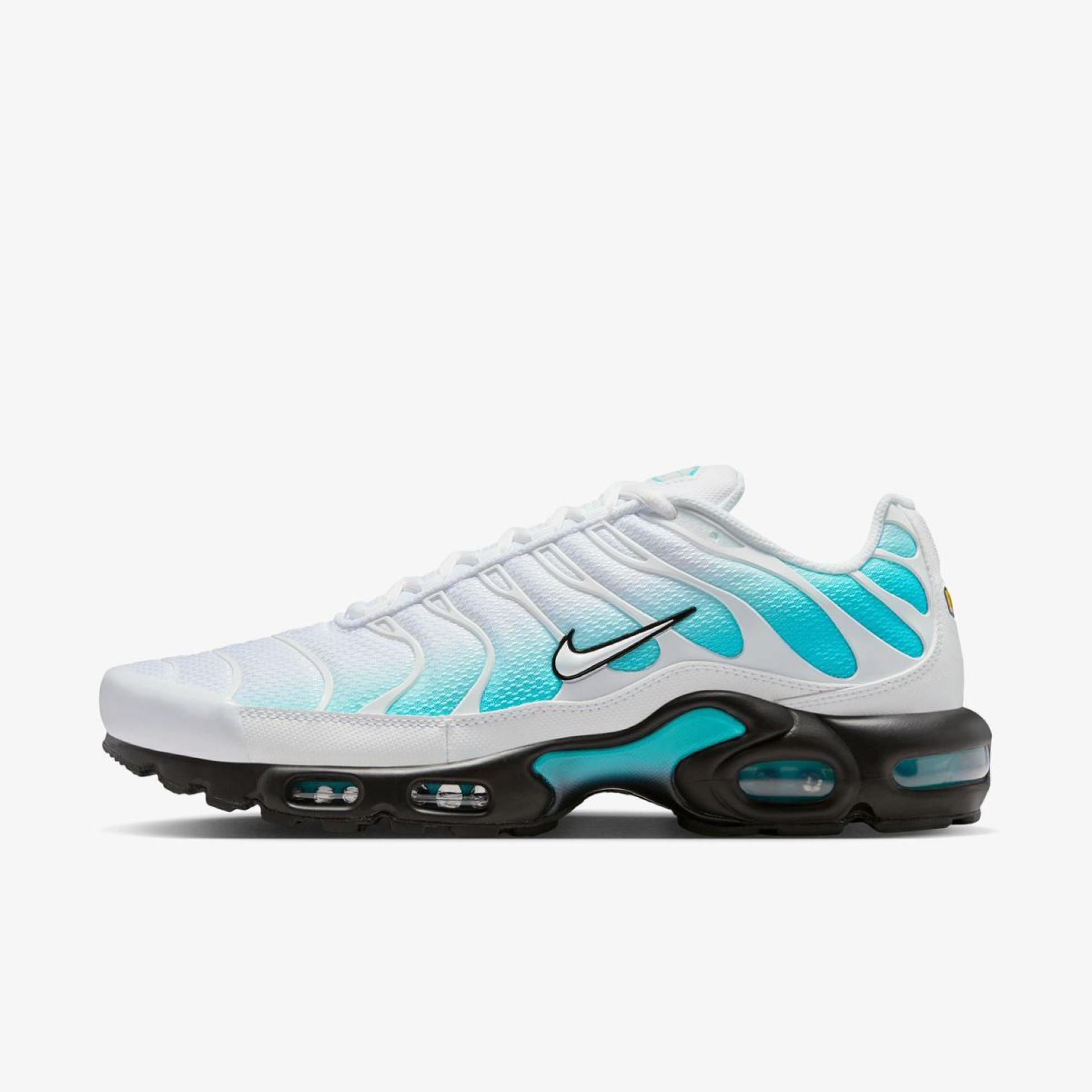 Мужские кроссовки NIKE AIR MAX PLUS IU7539-345