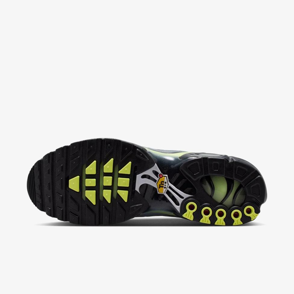 Мужские кроссовки NIKE AIR MAX PLUS IR1999-065