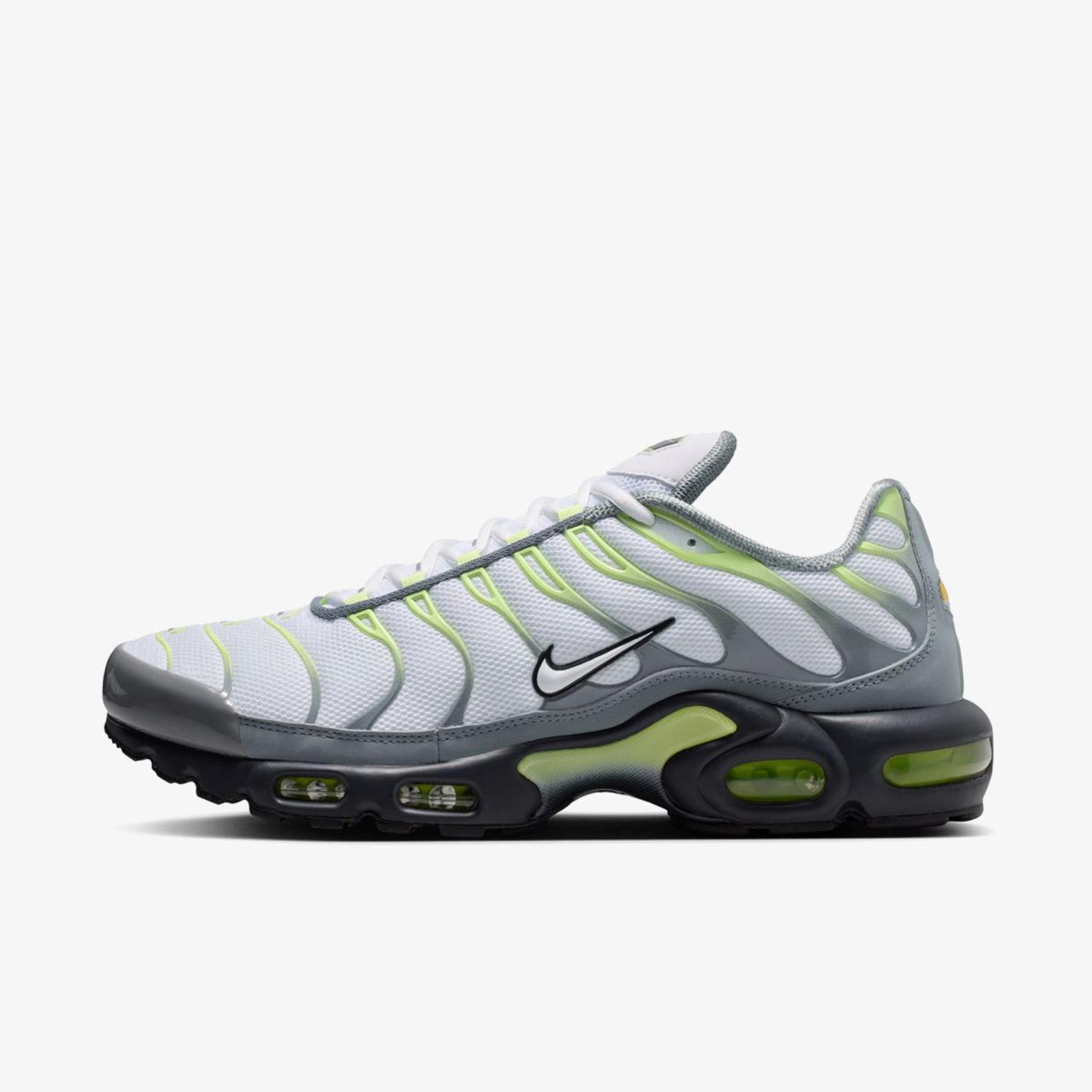 Мужские кроссовки NIKE AIR MAX PLUS IR1999-065