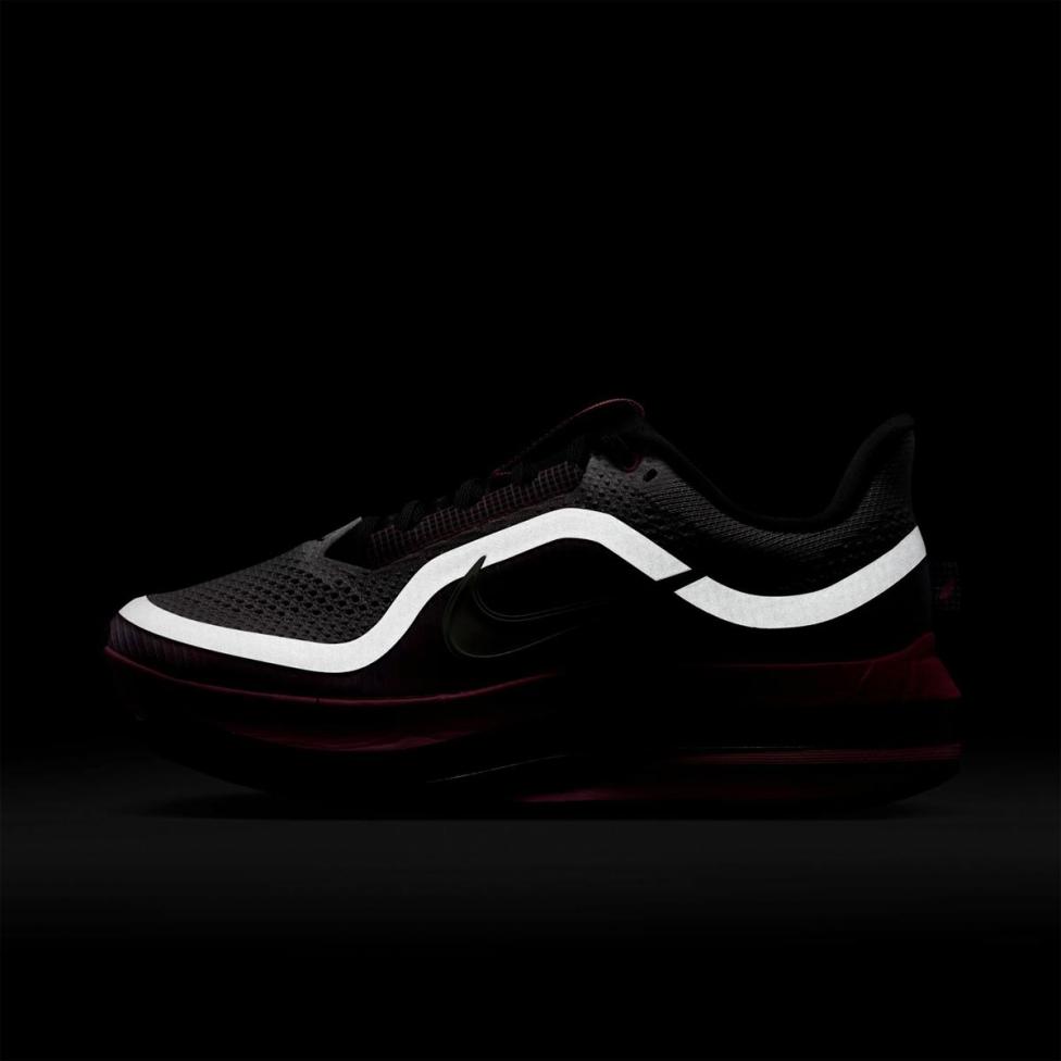 Жіночі кросівки NIKE W PEGASUS PREMIUM IR1811-664_image_9